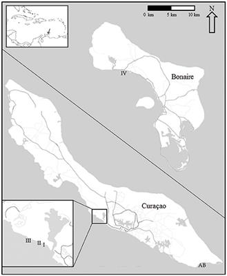 Long-term Shifts in Coral Communities On Shallow to Deep Reef Slopes of Curaçao and Bonaire: Are There Any Winners?